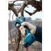 Акумуляторний секатор Bosch Pro Pruner (solo)  - фото 7