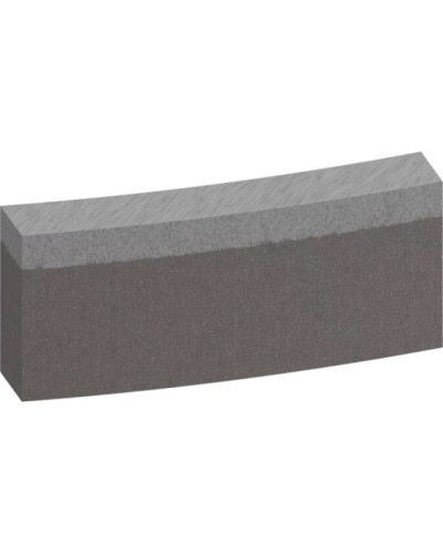 PRO Сегменти д / Алм_коронки   ø202x10mm, 1 1/4 