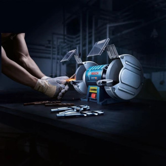 Точило Bosch GBG 60-20