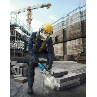 Угловая шлифмашина Bosch GWS 24-230 P Professional